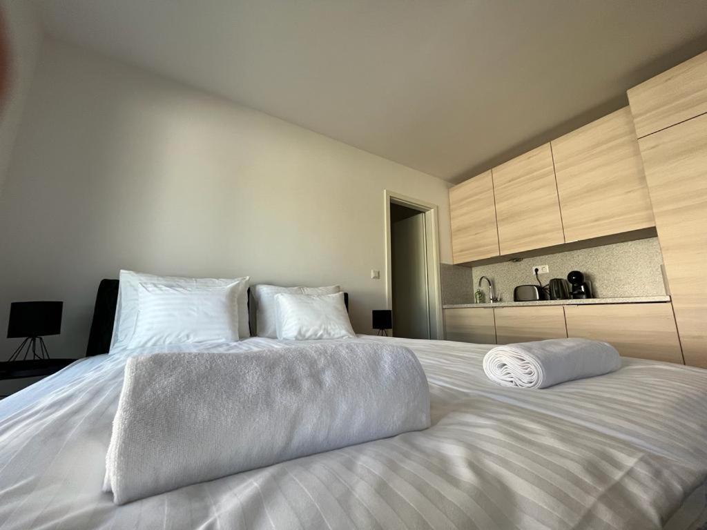 Mathias Premium Apartments Segedín Exteriér fotografie